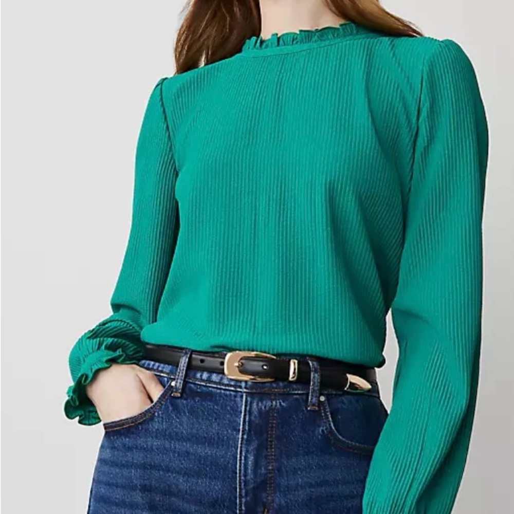 Ann Taylor Ruffled Women's Top